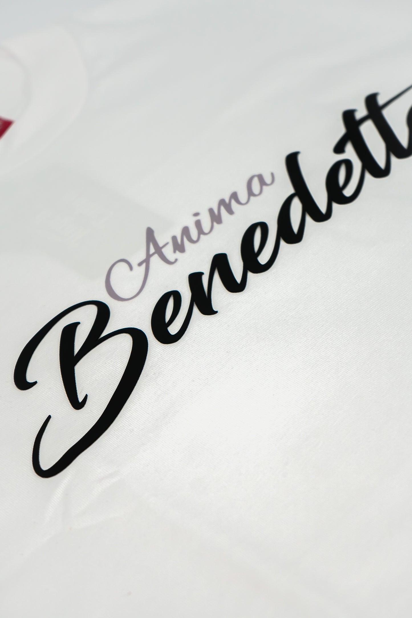 ANIMA BENEDETTO